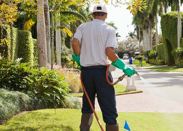 About Adair IL Pest Control